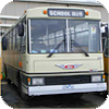SITA buses in non standard livery